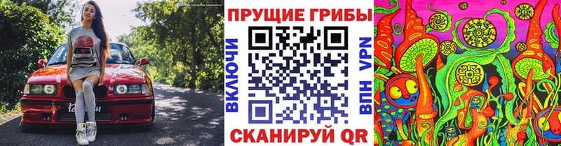 Галлюциногенные грибы ЛСД  Питкяранта 